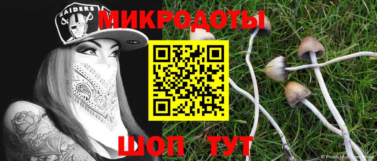 Галлюциногенные грибы Cubensis  наркошоп  Кыштым  Вход с VPN 
