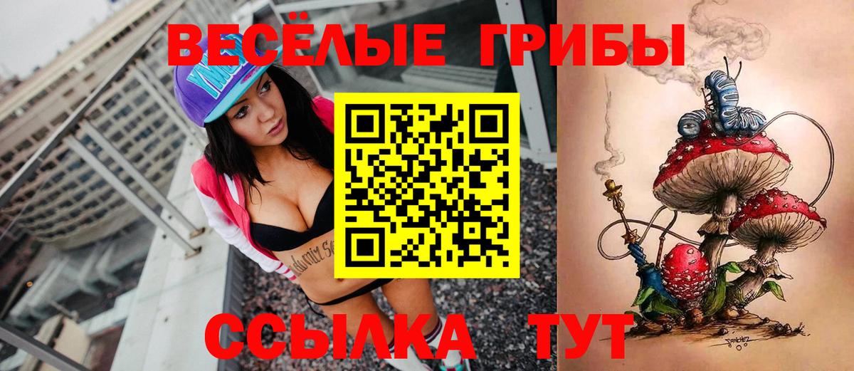 Галлюциногенные грибы Cubensis Кыштым